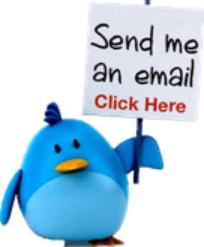 Send an e-mail to the web master